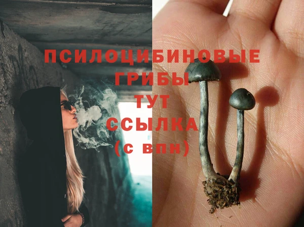 скорость Карпинск