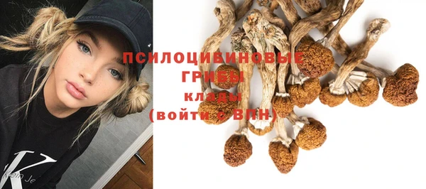 амфетамин Карталы