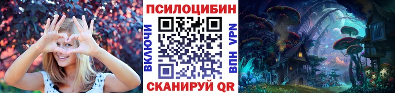 Купить  Гаврилов-Ям  Галлюциногенные грибы MAGIC MUSHROOMS 